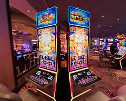 d333bet login d333bet login