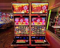 d333bet login d333bet login