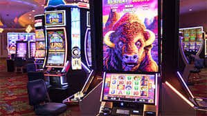 d333bet login